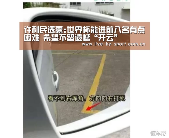 开云体育官网